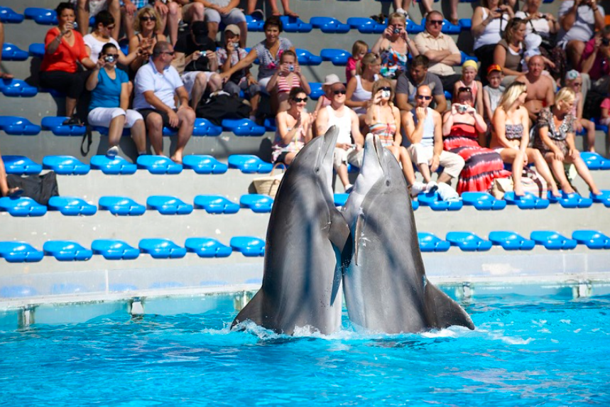 Zoomarine Algarve, Portugal, , Portugal